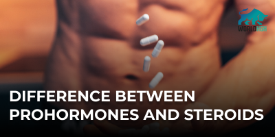 Difference between prohormones and steroids