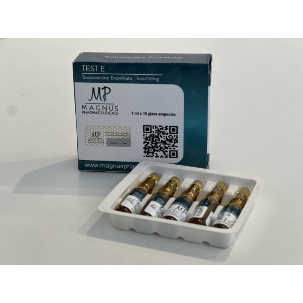 Test E 10 amp 250 mg Magnus Pharmaceuticals